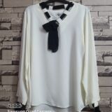 Ladies Blouse